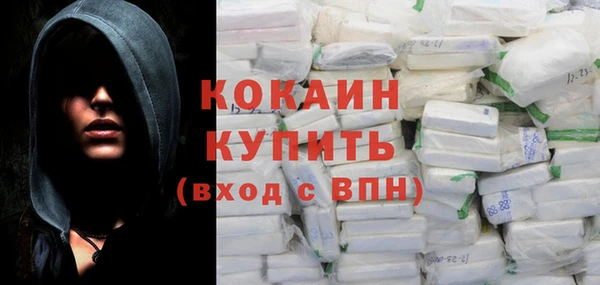 шишки Арсеньев