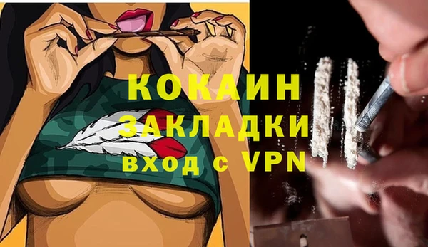 шишки Арсеньев