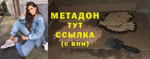 шишки Арсеньев