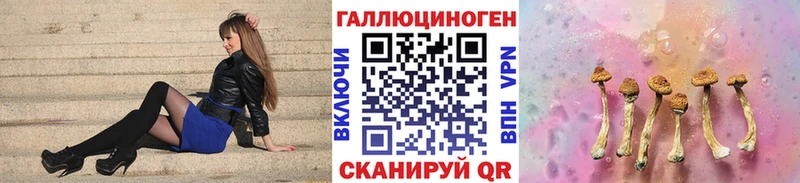 Галлюциногенные грибы Psilocybine cubensis Пушкино