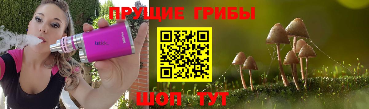где найти   Псилоцибиновые грибы GOLDEN TEACHER  Вход с VPN  Пушкино 